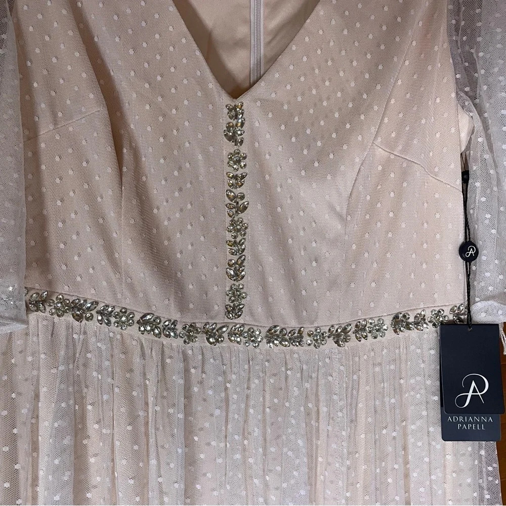 Adrianna Papell By Anthropologie Rivoli Tulle Blush Rose Gown Sz 10 NWT - Picture 4 of 10